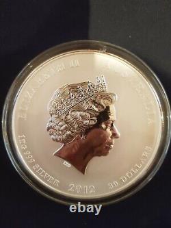 1 kilo 2012 Perth Mint Coloured Lunar Dragon Silver Coin. As new in capsule