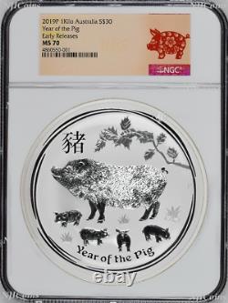 2-Coin-Set 2019 Lunar Year of the PIG Kilo Silver $30 NGC PF70+MS70 Proof+BU ER