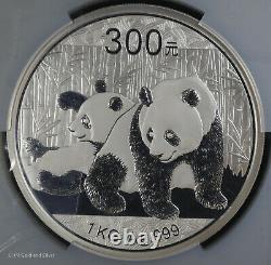 2010 300 Yn 1 Kg Kilo Silver Proof China Panda PCGS PR 69 DCAM Big Slab! Yuan