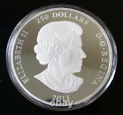 2013 $250 1 Kilo 99.99% Pure Silver Canada's Arctic Landscape Canadian Coin