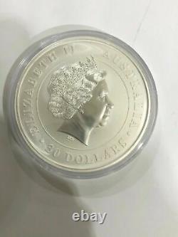 2013 Australia 1 kilo Silver Koala Coin (BU) enclosed in protective capsule