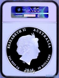 2018 Australia Lunar Year of the DOG 1 Kilo PROOF Silver $30 Coin NGC PF 69