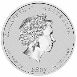 2019 Year of the Pig Perth Mint Lunar Series II 1 Kilo Silver Coin