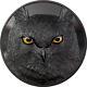 2022 1 Kilo Palau Silver Hunters By Night Eagle Owl Mintage Of 99