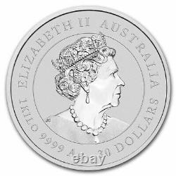 2022-P Australia 1 kilo Silver Lunar Tiger Kilo Coin