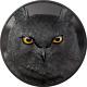 2022 Palau Hunters By Night Eagle Owl 1 Kilo Obsidian Black Silver Coin