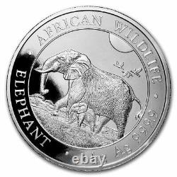 2022 Somalia 1 kilo Silver Elephant BU