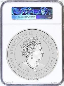 2023 Lunar Year of the RABBIT COLORED Kilo Silver $30 Coin NGC MS69 1st Releases