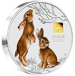 2023 Lunar Year of the Rabbit 1 Kilo Silver $30 Coin NGC MS70 with Gold Privy Mark