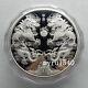 2024 China 300yuan Lunar Series New Year Dragon Kilo Silver Coin 1000g