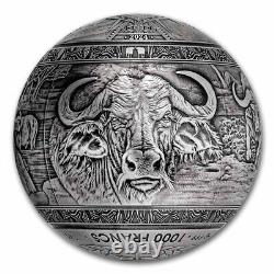 2024 Djibouti 1 kilo Silver Big Five of Africa Buffalo Spherical