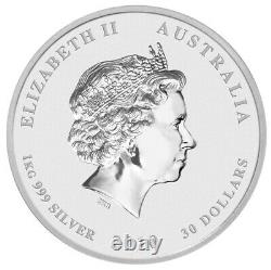 Australia 2010 YEAR TIGER Lunar $30 1 KILO Pure Silver Kilogram n Perth Mint Box