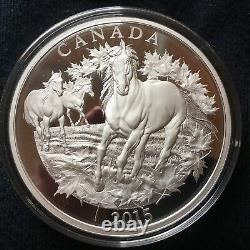 Canada 1/2 Kilo 9999 Silver Proof Coin Canadian Horse Mintage1,000