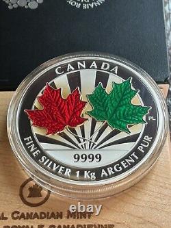 Canada 2014 MAPLE LEAF FOREVER $250 Kilo Pure Silver Enamel