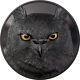 Eagle Owl 1 Kilo Silver Coin Obsidian Black Palau 2022