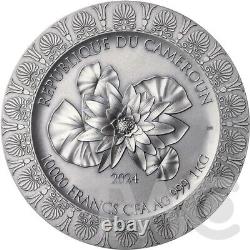 Leda and the Swan Celestial Beauty 1 kilo Silver Coin CFA Cameroon 2023