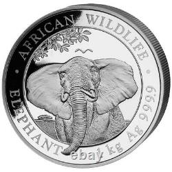 Somalia 2.000 SH. 2021 Elefant African Wildlife Anlagemünze 1 Kilo Silber ST