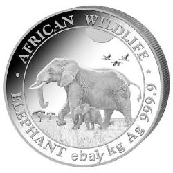 Somalia 2.000 SH. 2022 Elefant African Wildlife Anlagemünze 1 Kilo Silber ST