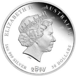 1 KG Kilo 2014 Année Lunaire De La Preuve D'argent Cheval Coin