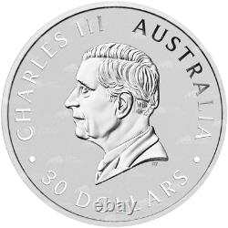 1 kilo 2024 pièce d'argent Australian Koala de la Monnaie de Perth