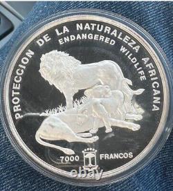 1992 Faune sauvage de Guinée équatoriale Lions 7000 Francs Pièce de monnaie en argent de demi-kilo