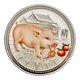 2007 Pièce De Monnaie En Argent Coloré De 1/2 Kilo De L'année Lunaire Du Cochon De Niue, Frappée Par La Monnaie D'australie