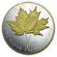 2013 Canada 1 Kilo Argent 250 $ Feuille D'érable à Jamais (dorée)