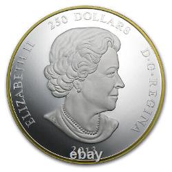 2013 Canada 1 kilo Argent 250 $ Feuille d'érable à jamais (dorée)