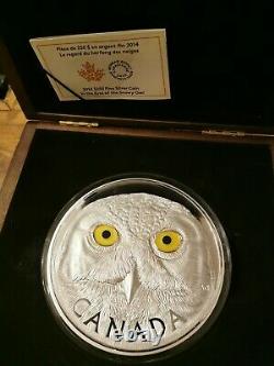2014 $ 250 Dollar'in Canadiens Les Yeux De La Snowy Owl'- Argent Pur Kilo Coin