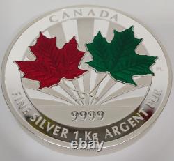 2014 Canada 1 Kilo 99.99 Argent Fin 250 $ Pièce Feuille D'érable Pour Toujours 1000 Grammes