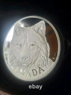 2017 AUX YEUX DU LOUP DE LA FORÊT Pièce de monnaie en argent de 1 kilo Preuve de 250 $ Canada RCM #76