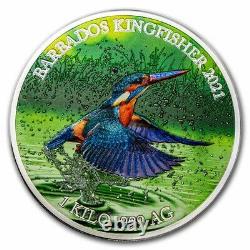 2021 Barbade 1 Kilo Couleur D'argent Faune Kingfisher Sku#241718