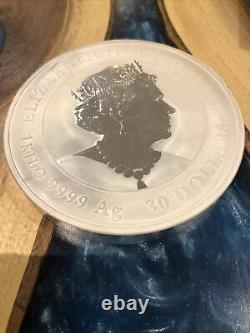 2022 Argent 1 Kilo Australie Perth Lunar Tiger Coin 32.15 Oz Argent