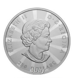 2023 250 $ 1 Kilo Fine Silver Coin Érables À Facettes Multiples