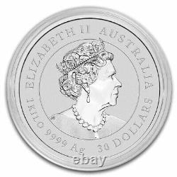 2023 ANNÉE LUNAIRE DU LAPIN 1 KILO 9999 PIÈCE D'ARGENT - MONNAIE DE PERTH - 1 588,88 $