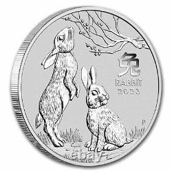 2023 ANNÉE LUNAIRE DU LAPIN 1 KILO 9999 PIÈCE D'ARGENT - MONNAIE DE PERTH - 1 588,88 $