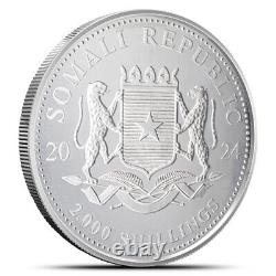 2024 1 Kilo Somalia Pièce d'argent Éléphant (BU)