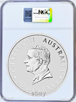 2024 Kookaburra 1 Kilo. 9999 Argent $30 Pièce NGC MS70 32.2oz Étiquette Bleue FR