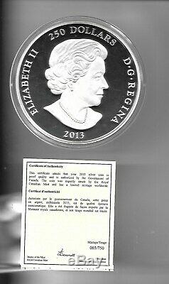 Arctique Paysage Canadien ' 2013 $ 250 Argent Kilo Coin