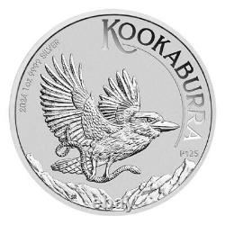 Boîte de 100 pièces d'argent Perth Kookaburra de 1 once 2024 (non circulées)