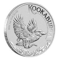 Boîte de 100 pièces d'argent Perth Kookaburra de 1 once 2024 (non circulées)