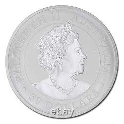 L'ua 2007 Présente (année De Rando) Australian 1 Kilo Argent Koala Coin