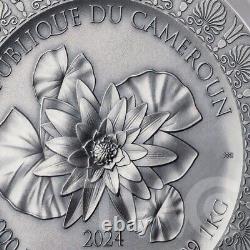 Leda et le Cygne Beauté Céleste 1 kilo Pièce d'argent CFA Cameroun 2023