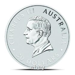 Monnaie en argent Koala de 1 kilo Australie Perth 2024 (Qualité BU)