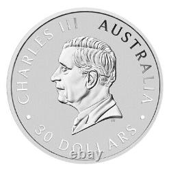 Pièce d'argent de 1 kilo Perth Kookaburra 2024 (BU)