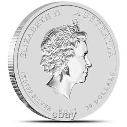 Pièce de monnaie australienne en argent lunaire de 1 kilo de lapin de l'année 2011