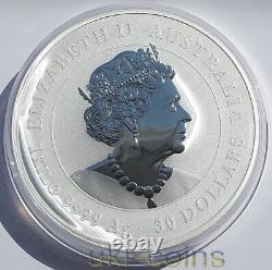 Pièce de monnaie colorée en argent d'un kilo pour l'année du Rat de la souris Lunar III en Australie en 2020 - 30 dollars.