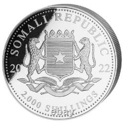 Somalie 2.000 Sh. 2022 Faune Africaine Lointaine Anlagemünze 1 Kilo Silber St