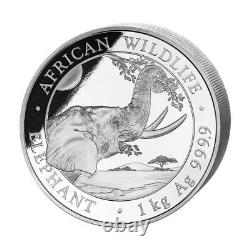 Somalie 2023 1 Kilo Argent Faune Africaine Éléphant BU